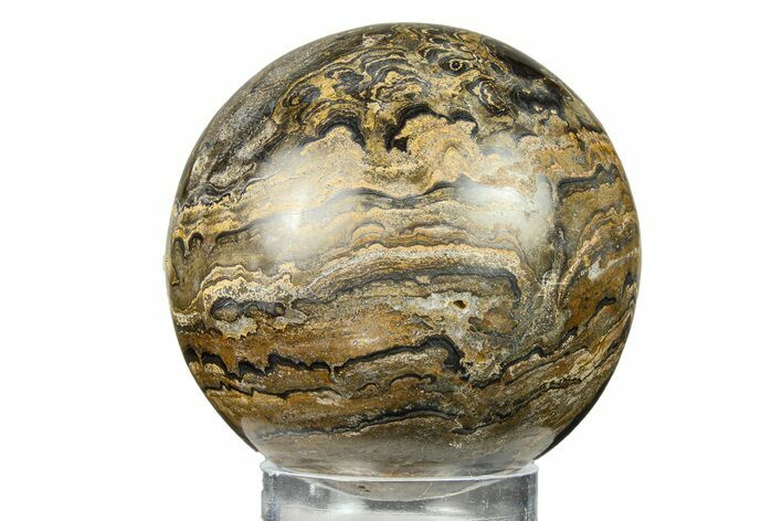 Polished Stromatolite (Greysonia) Sphere - Bolivia #302461